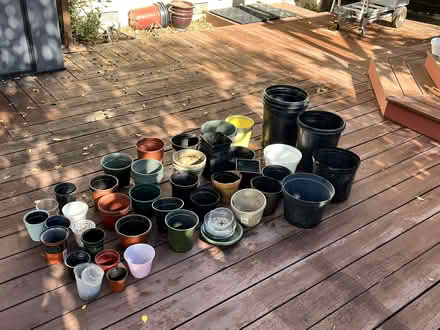 Photo of free Pots for Plants (Wolfe & Reed) #1