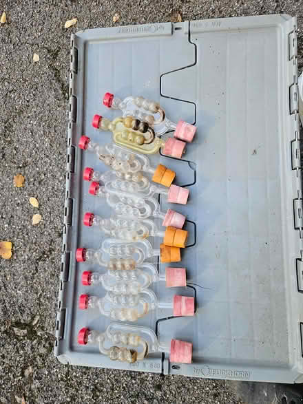 Photo of free Wine making equipment (Shortlands) #3