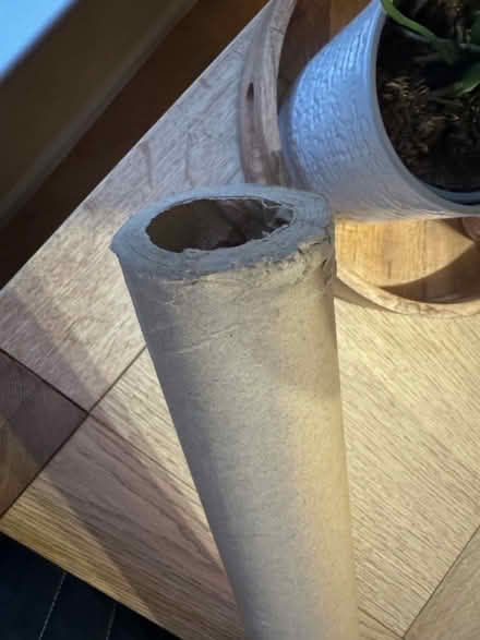 Photo of free Extra long cardboard tube (Galgate LA2 0) #1
