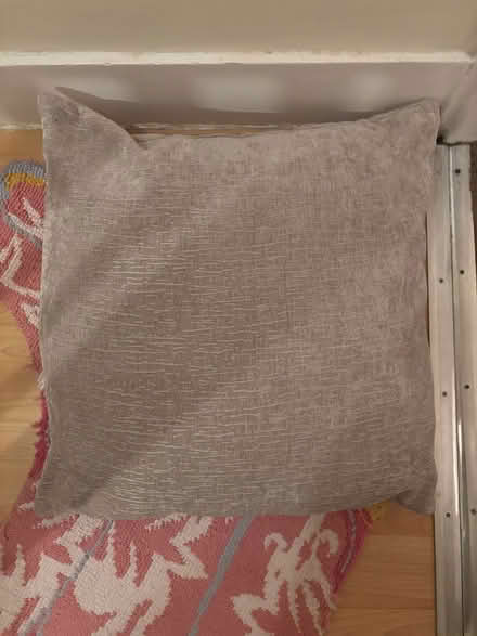 Photo of free 4 large scatter cushions (AL1) #1