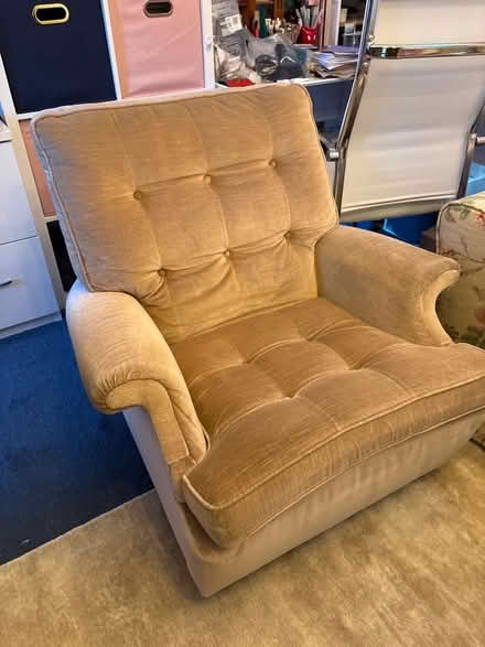 Photo of kind soul (Seal TN15) #1