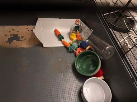 Photo of free Single tier rabbit cage (Rawmarsh S62) #4