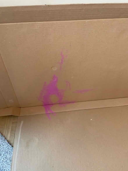 Photo of free Cardboard x10 (Dore, S17) #2