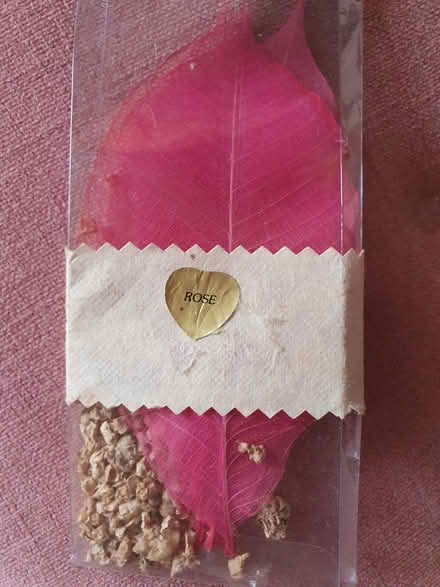 Photo of free Craft - Pink dried leaves (RG23 Winklebury) #1