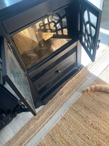 Photo of free Electric wood fire (CH62) #2