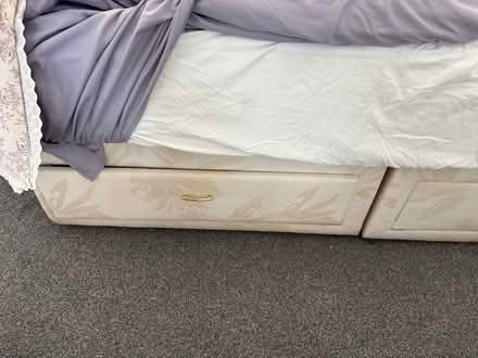 Photo of kind soul (Seal TN15) #4