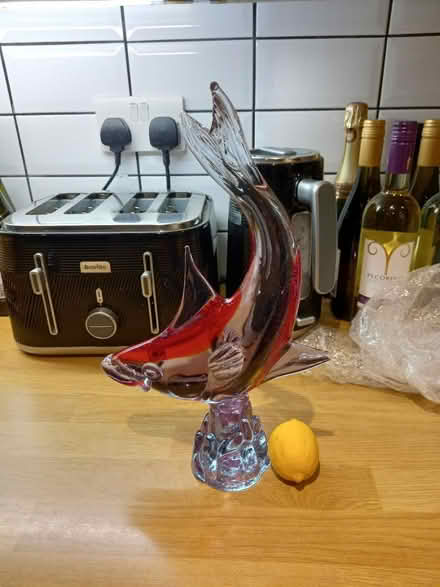 Photo of free Glass fish ornament (Roundhill area brighton) #1