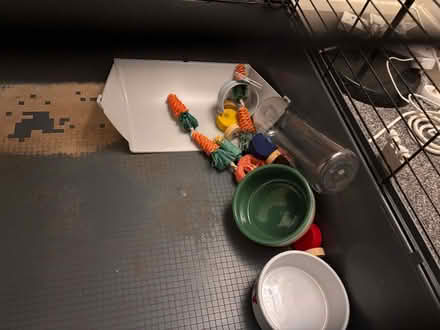 Photo of free Single tier rabbit cage (Rawmarsh S62) #3