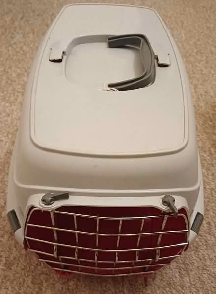 Photo of free Pet Carrier (Chichester PO19) #1