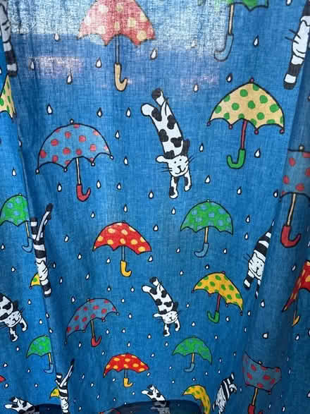 Photo of free Children’s Ikea curtains (Aldcliffe LA1) #2