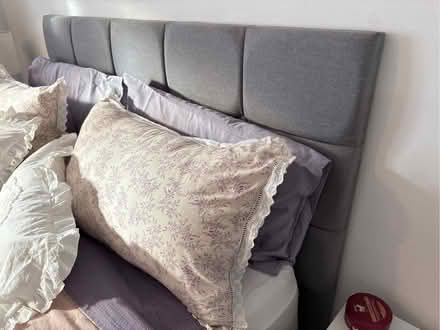 Photo of kind soul (Seal TN15) #3