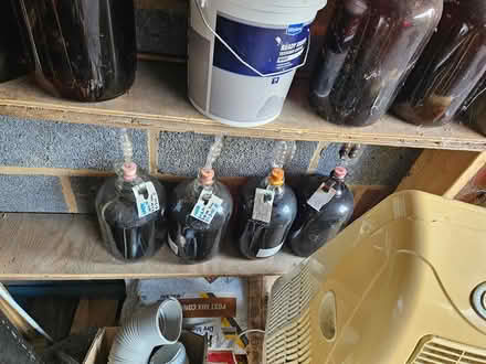 Photo of free Wine making equipment (Shortlands) #4