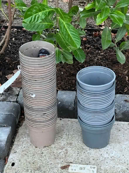 Photo of free Pots (Radlett WD7) #1