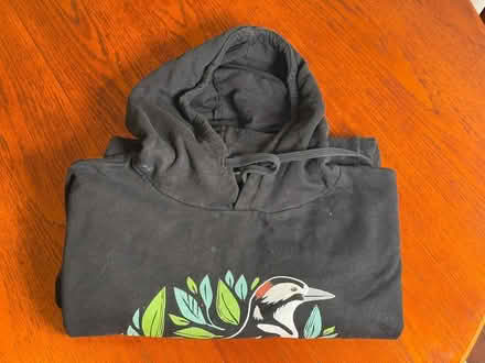 Photo of free Mens RSPB black hoody (HA0) #3
