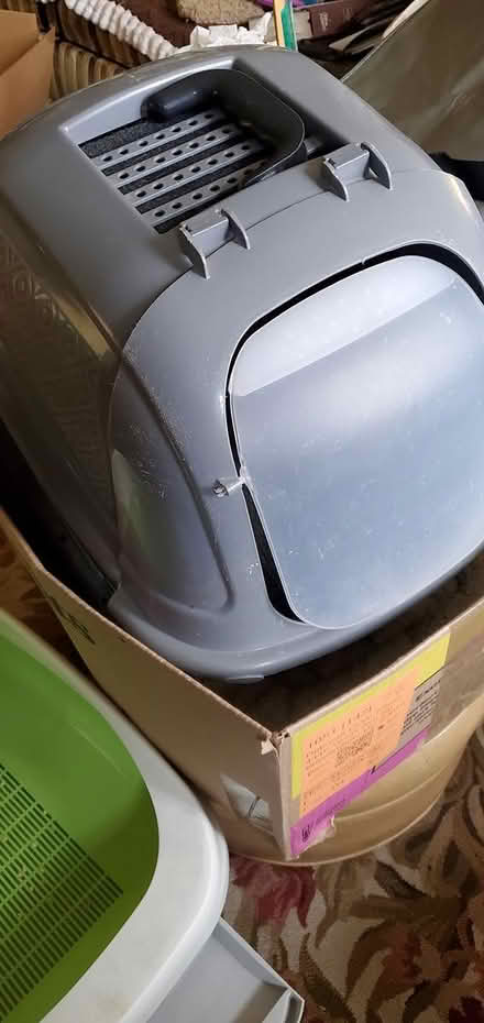 Photo of free Essentials for Cats (S.E. near Benning Rd Metro.) #2