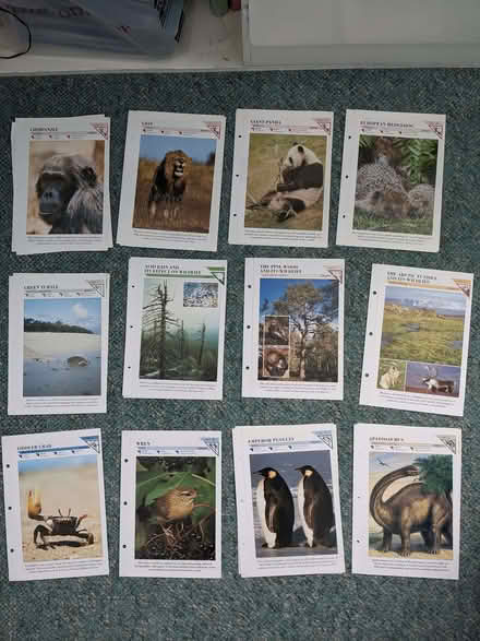 Photo of free 12x nature factfile cards (Kirkstall LS5) #1