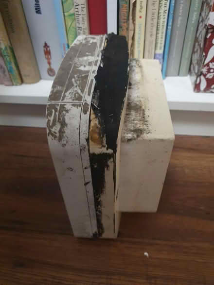 Photo of free Sure Flap electronic chip cat door (S2, Heeley) #3