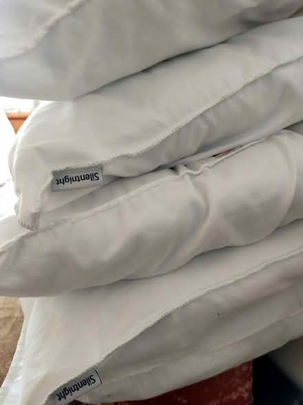Photo of free Pillows (CH60) #1