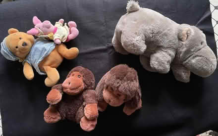 Photo of free Soft toys (Chorlton M21) #1