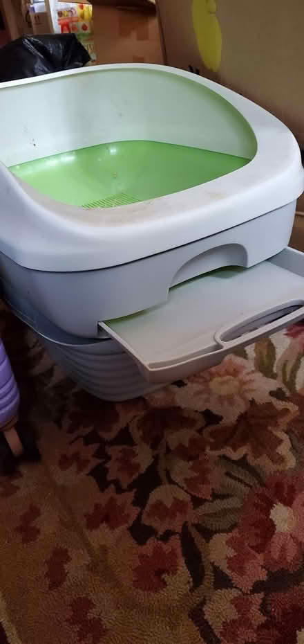 Photo of free Essentials for Cats (S.E. near Benning Rd Metro.) #3