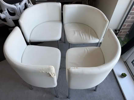 Photo of free Dining chairs x 4 (South Croydon CR2) #3