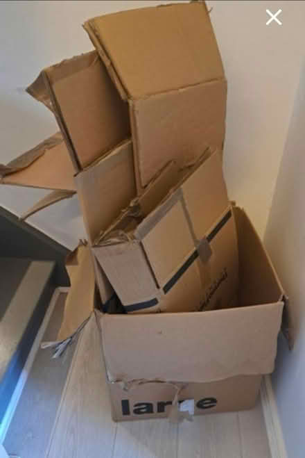 Photo of free Moving boxes (Hornsey N8) #1
