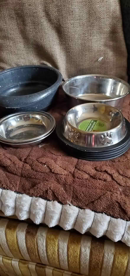 Photo of free Essentials for Cats (S.E. near Benning Rd Metro.) #1