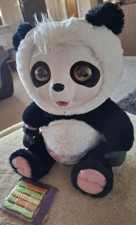 Photo of free Panda toy - eats and poos bamboo (Essington WV11) #1
