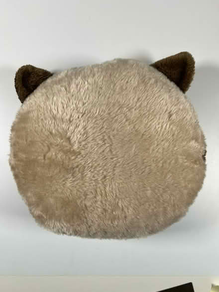 Photo of free Bear Head PIllow (Midtown Palo Alto) #3