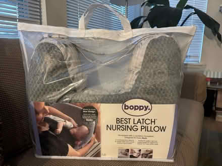 Photo of free Baby nursing pillow and cover (Quebec & Yale intersection) #1