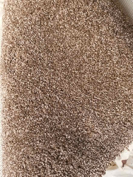 Photo of free Wool mix carpet (Yate BS37 7) #1
