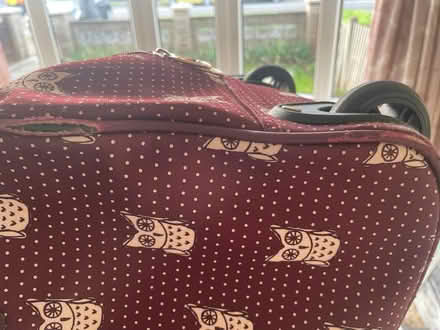 Photo of free Large Luggage Bag (Western Park LE3) #4