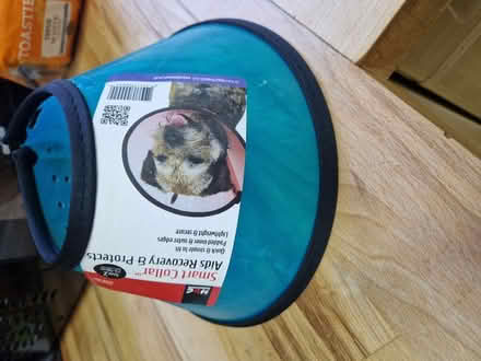 Photo of free Size 2 pet collar (TN35 clive vale) #1