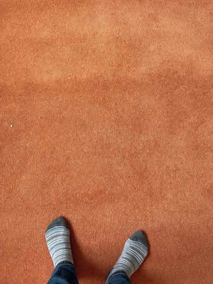 Photo of free Bedroom carpet with underlay (Lawford CO11) #1