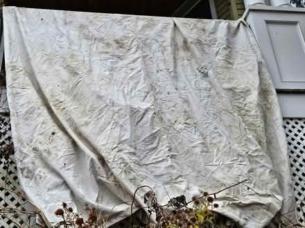 Photo of free paint drop cloths (Roxbury) #1