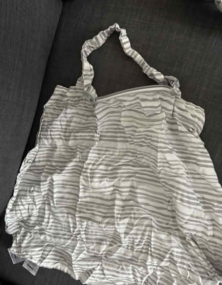 Photo of free Baby nursing pillow and cover (Quebec & Yale intersection) #4