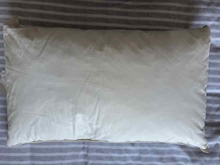 Photo of free Ikea Lundtrav pillow (Chippenham SN14) #2