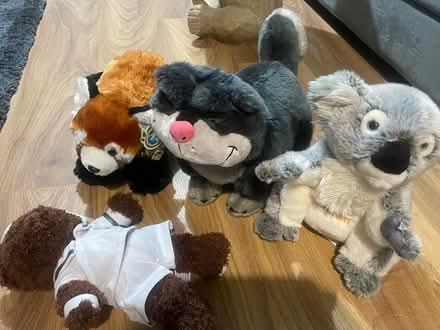 Photo of free Soft toys (Near Gilbert Inglefield LU7) #2