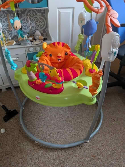 Photo of free Baby bouncer (Condover, Shrewsbury) #1