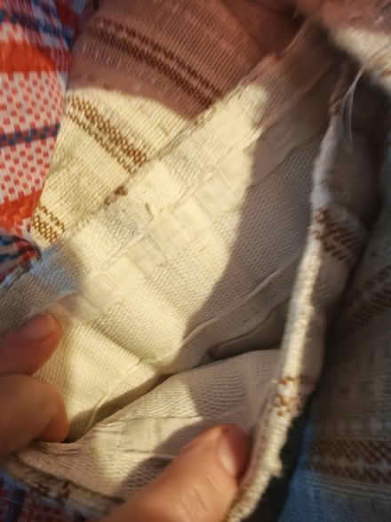 Photo of free Full length curtains (BN2 4PL) #3