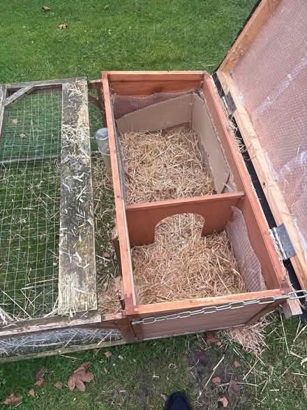 Photo of free Hutch and run (Baschurch) #2