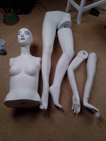 Photo of free Mannequin full size (Barry) #1
