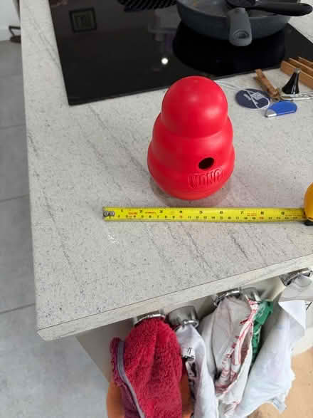 Photo of free Dog Kong play toy (Central Tonbridge TN9) #1