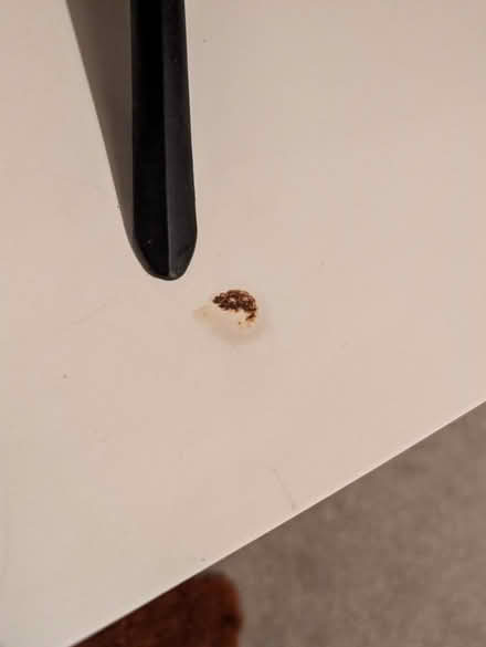 Photo of free TV bench (SG5) #3