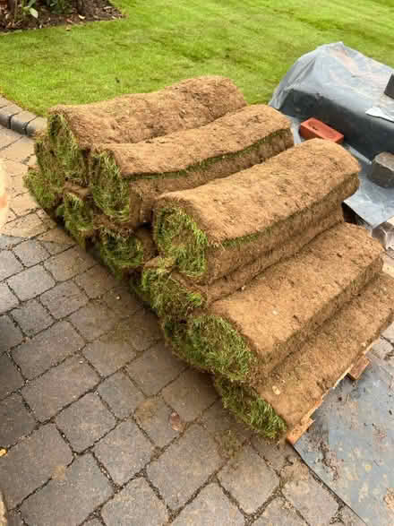 Photo of free Essex turf (Radlett WD7) #1