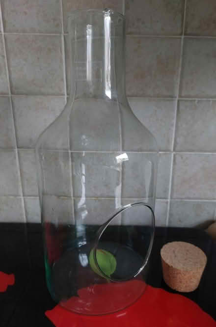Photo of free Large, Open Terrarium Bottle (Pitreavie Castle, KY11) #2
