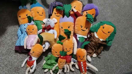 Photo of free Carrot soft toys (Aylesbury Vale HP21) #1