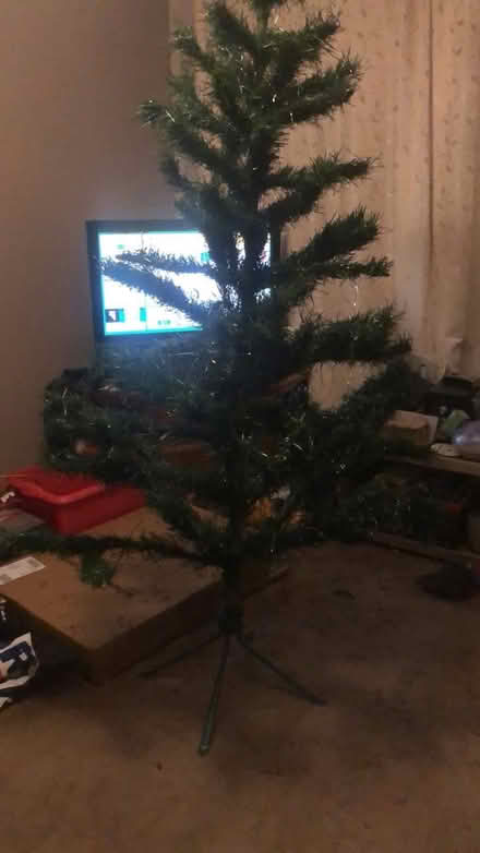 Photo of free 6ft Xmas tree (CM7 - Braintree) #1