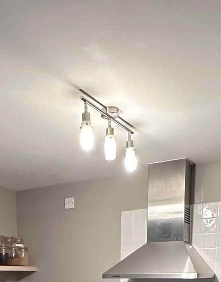 Photo of free Ceiling light (Devizes SN10) #1