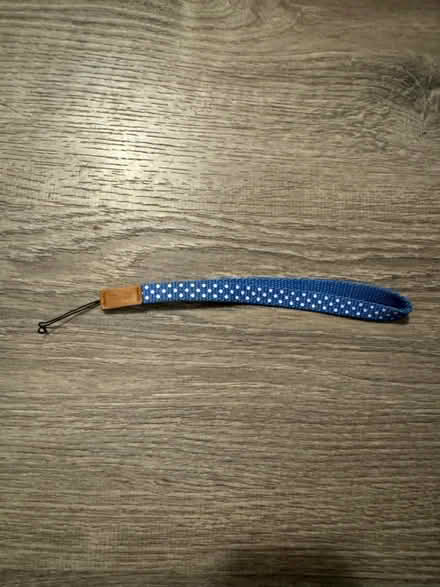 Photo of free Wrist strap for Polaroid camera (Michigan Park) #2